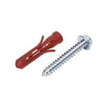 Lag Screw With Plastic Anchor